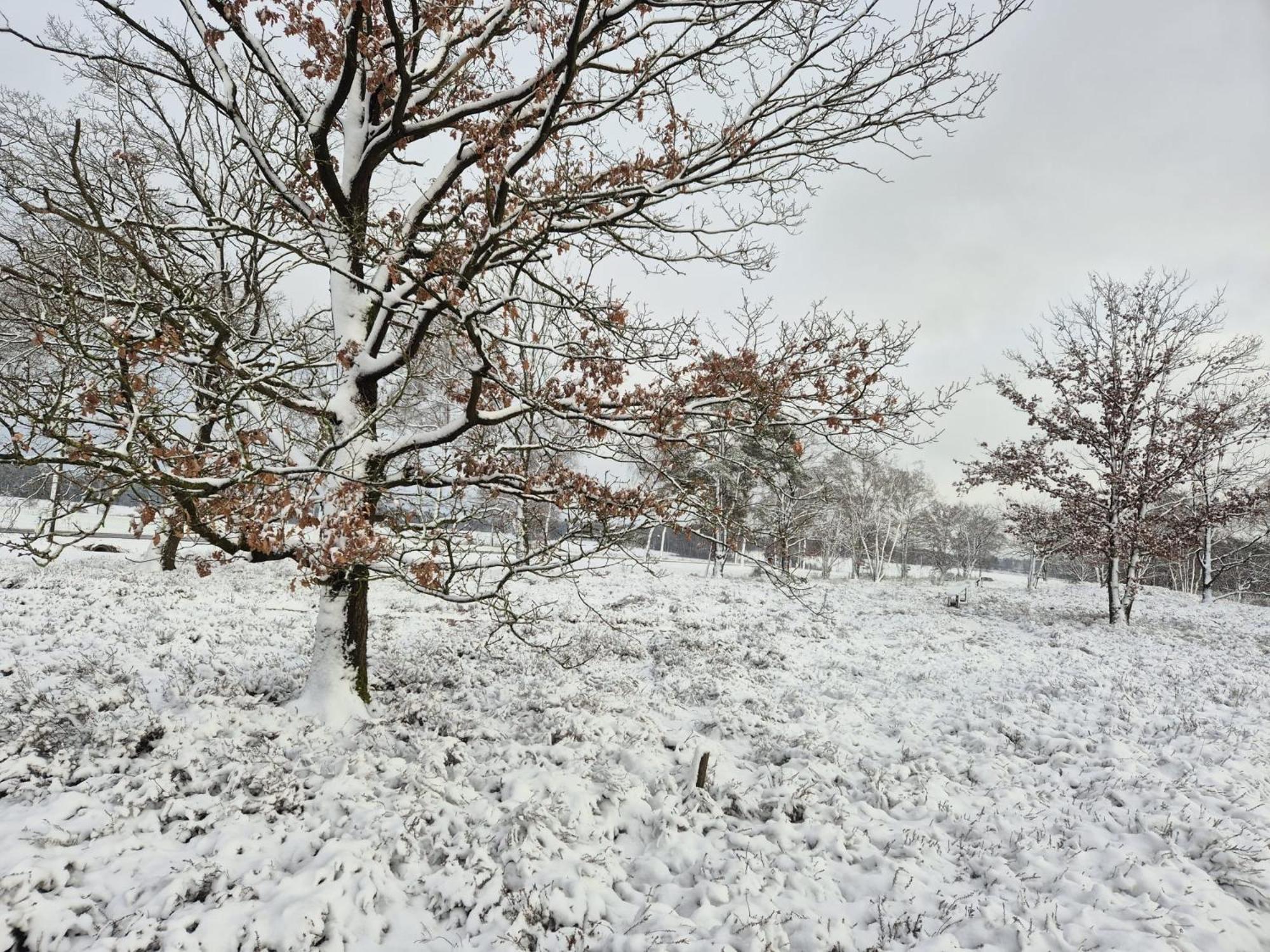 Ferienwohnungen Liedtke Bispingen Exterior foto